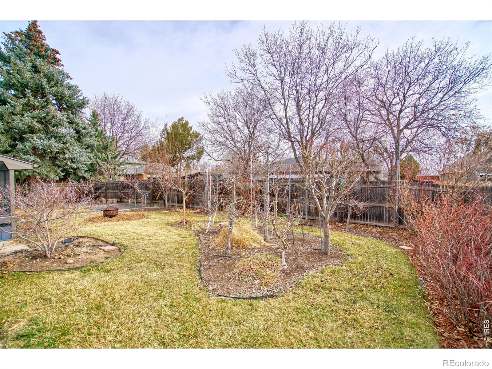 1640 Juniper Street Longmont CO 80501