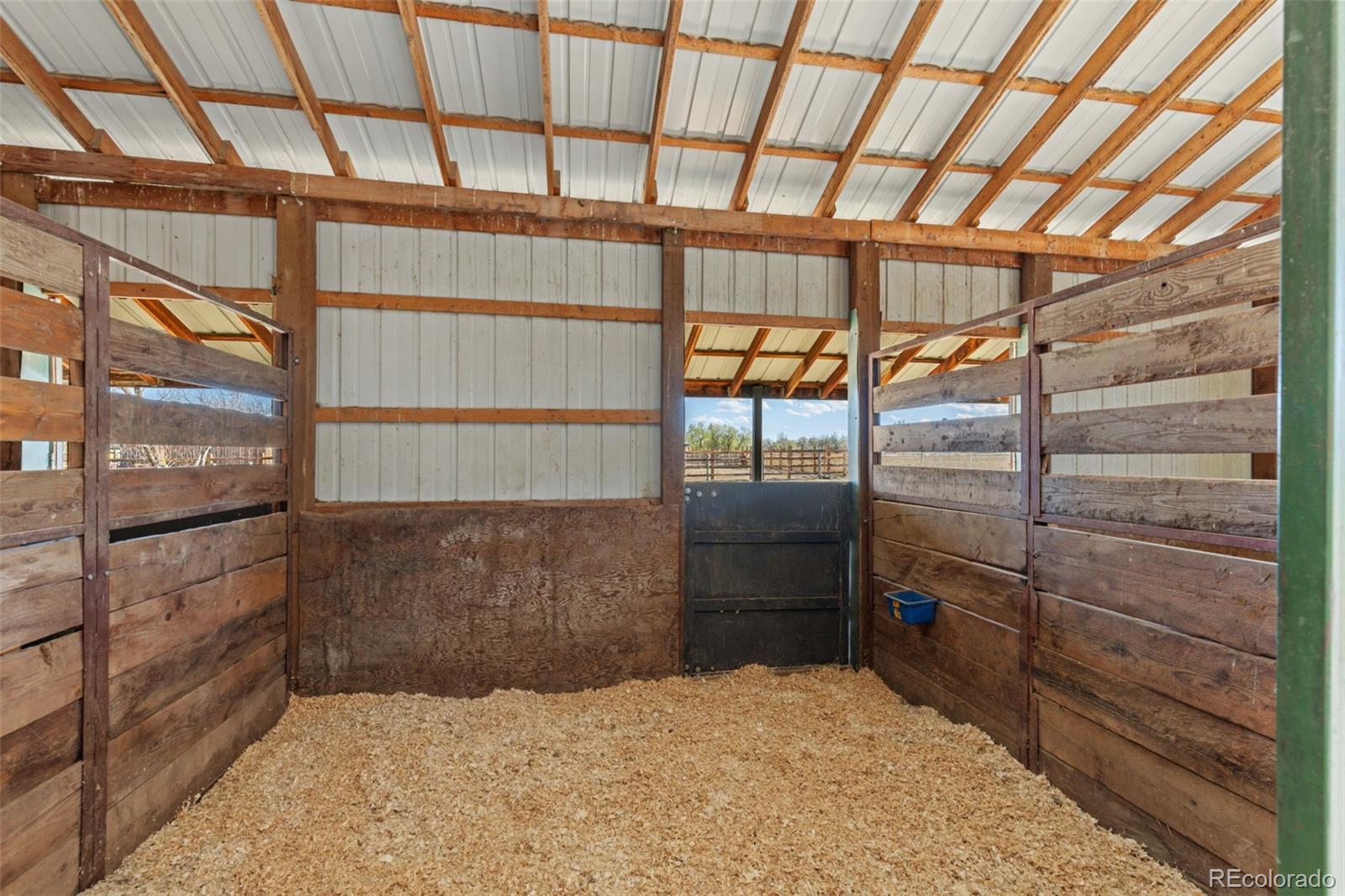 1613 Horseshoe Circle Longmont CO 80504