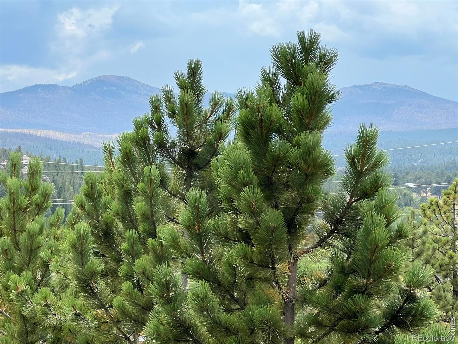24688 W County Road 74e Red Feather Lakes CO 80545