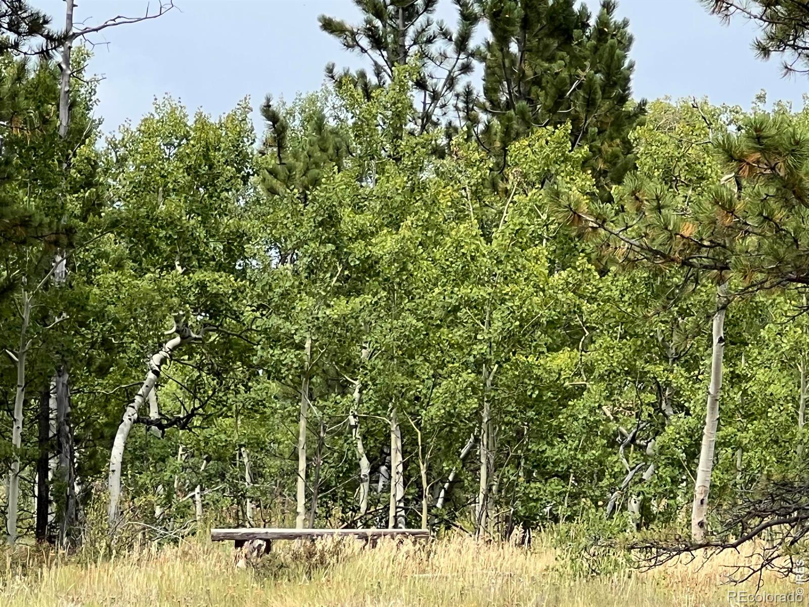 24688 W County Road 74e Red Feather Lakes CO 80545