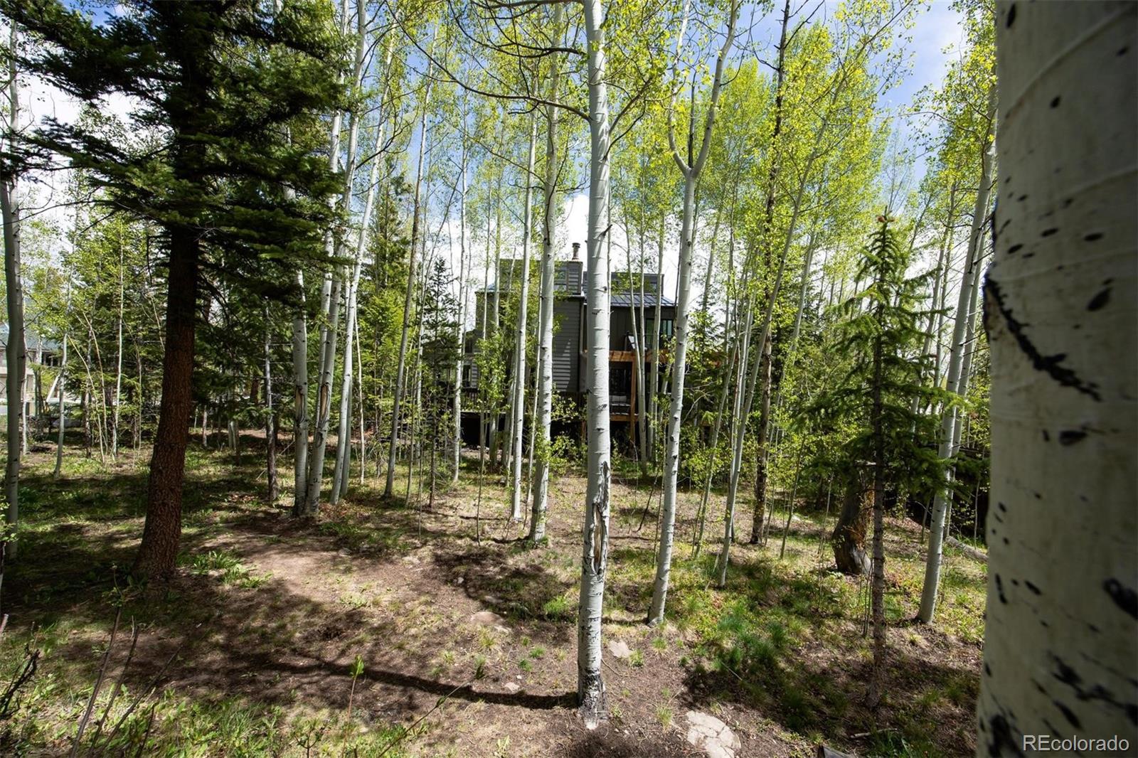 18 Hawn Drive Frisco CO 80443