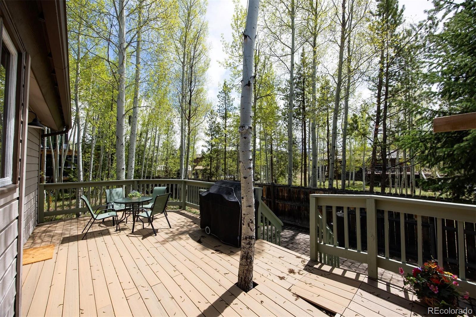 18 Hawn Drive Frisco CO 80443
