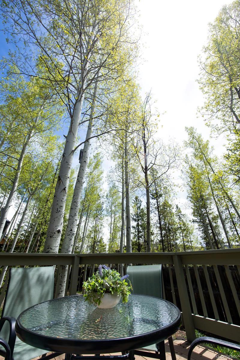 18 Hawn Drive Frisco CO 80443