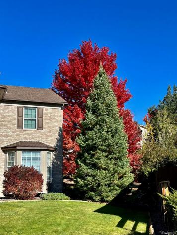 20790 Bridlewood Lane Parker CO 80138