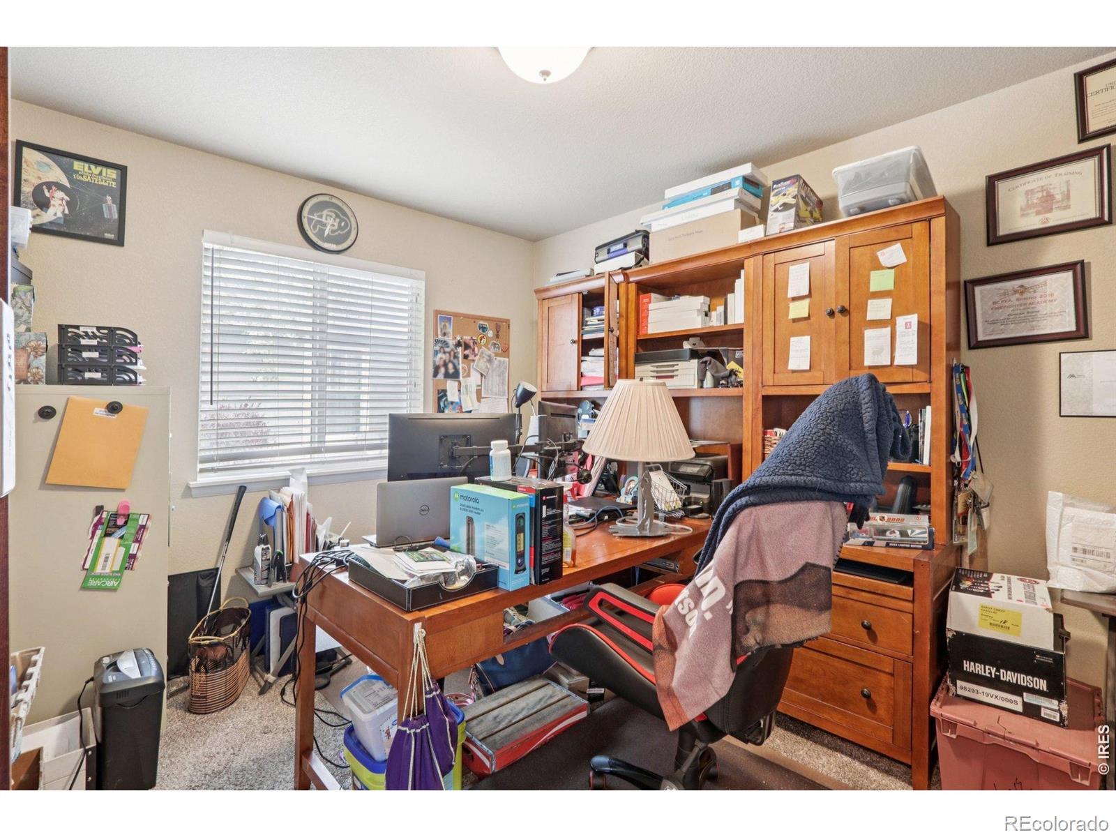 4318 Mariposa Lane Evans CO 80620