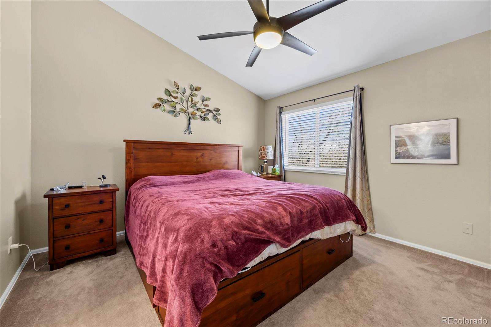 9314 Wiltshire Drive Highlands Ranch CO 80130