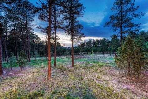 16152 Timber Meadow Drive Colorado Springs CO 80908