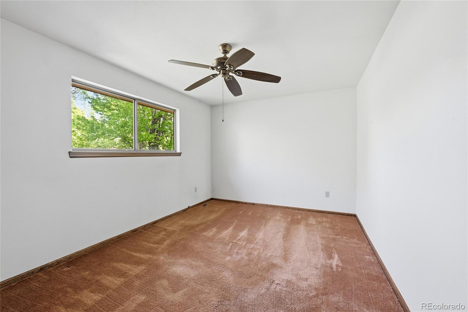 7992 S Jackson Street Littleton CO 80122