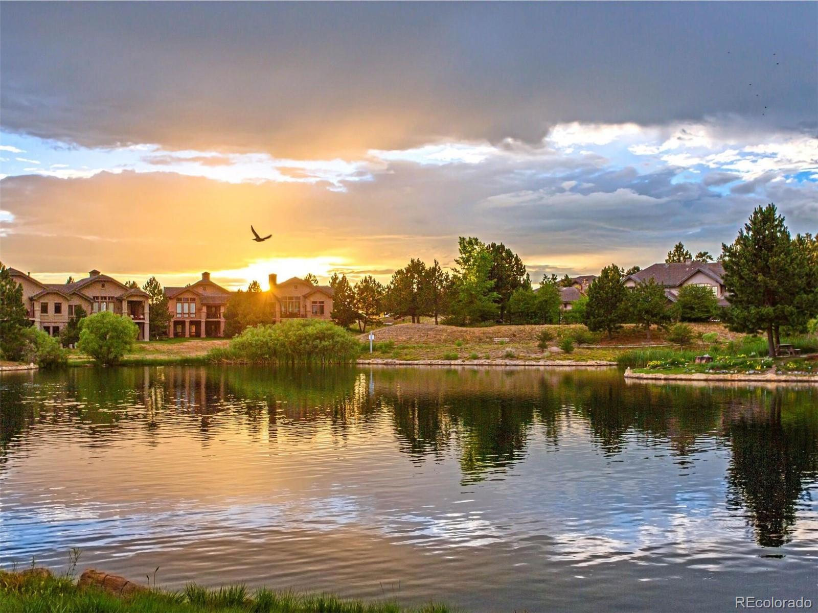 15 Castle Pines Drive Castle Rock CO 80108