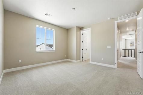 1694 Fox Trotter Point Castle Rock CO 80104