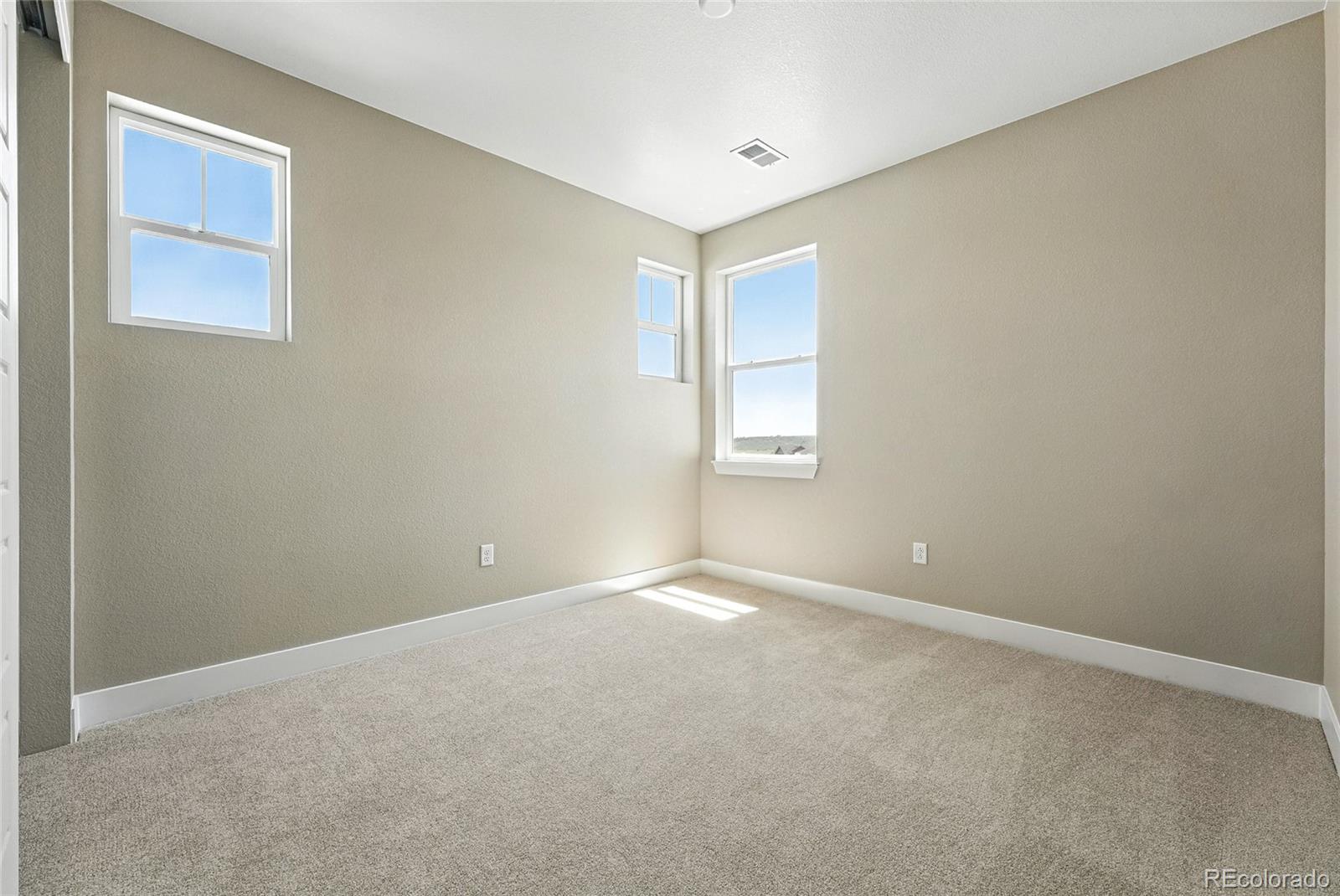 1694 Fox Trotter Point Castle Rock CO 80104