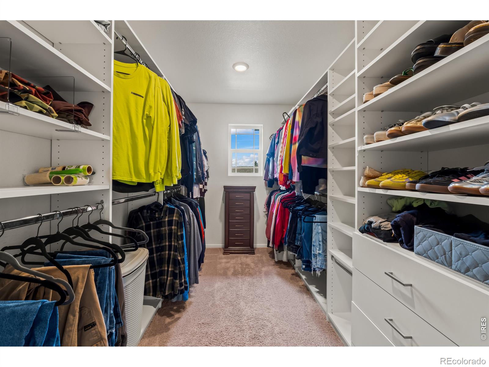 17563 W 93rd Place Arvada CO 80007