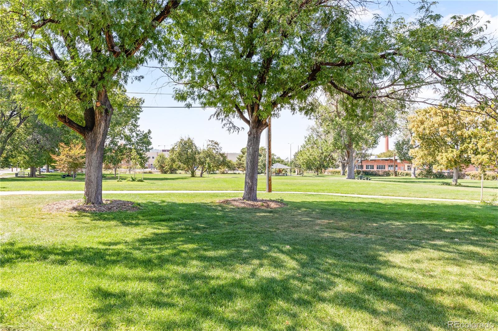 3520 N Fillmore Denver CO 80205