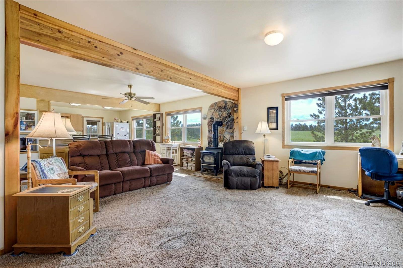 2134 Homestake Place Florissant CO 80816