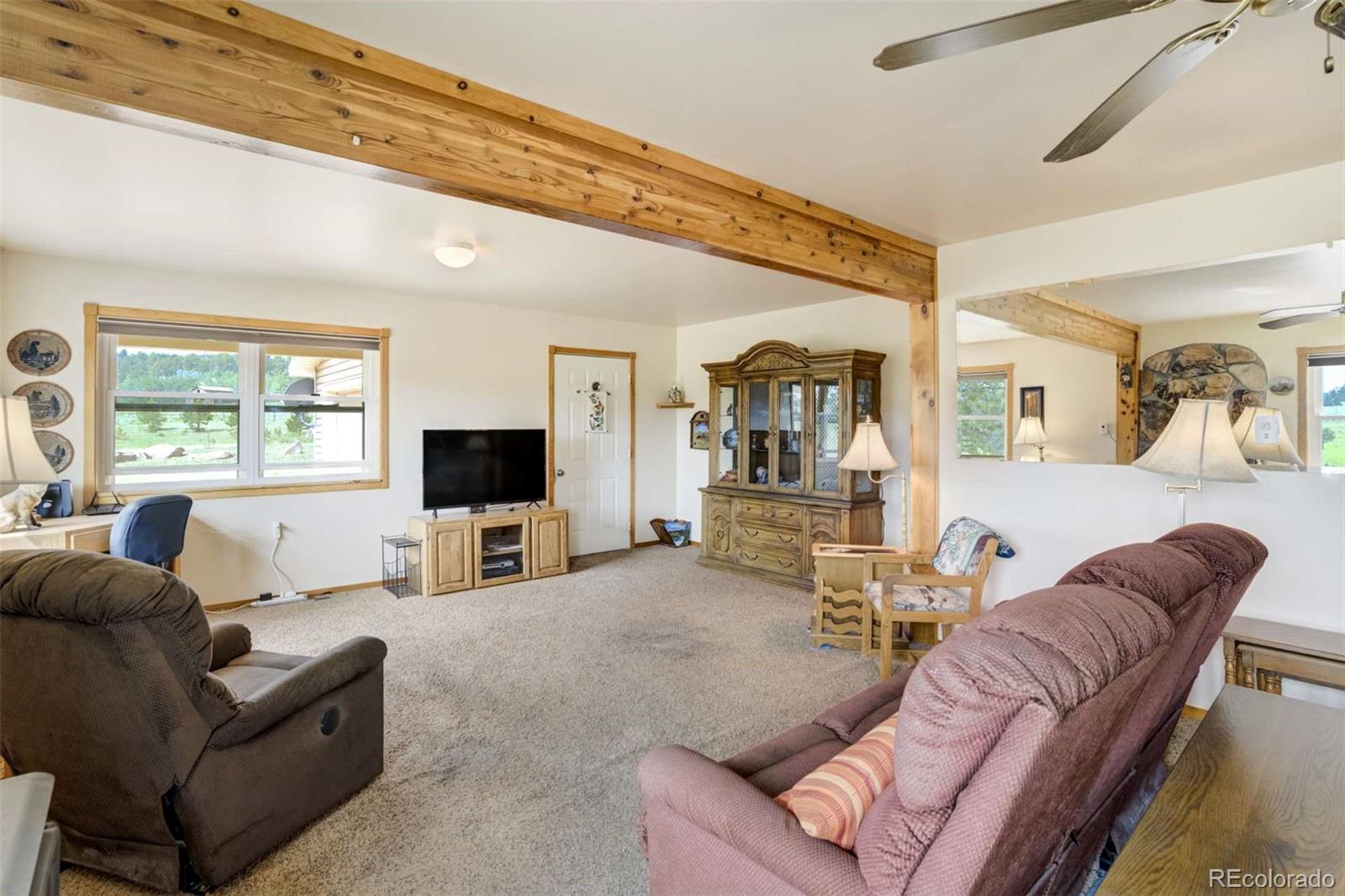 2134 Homestake Place Florissant CO 80816