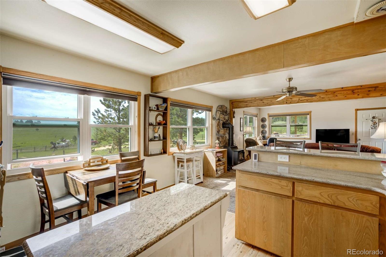 2134 Homestake Place Florissant CO 80816