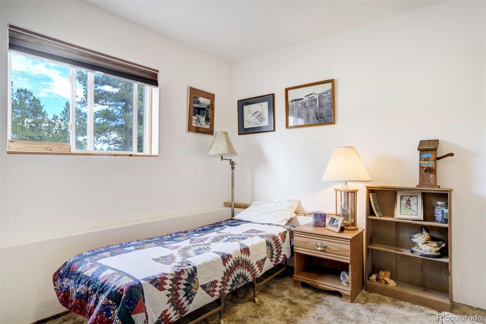 2134 Homestake Place Florissant CO 80816