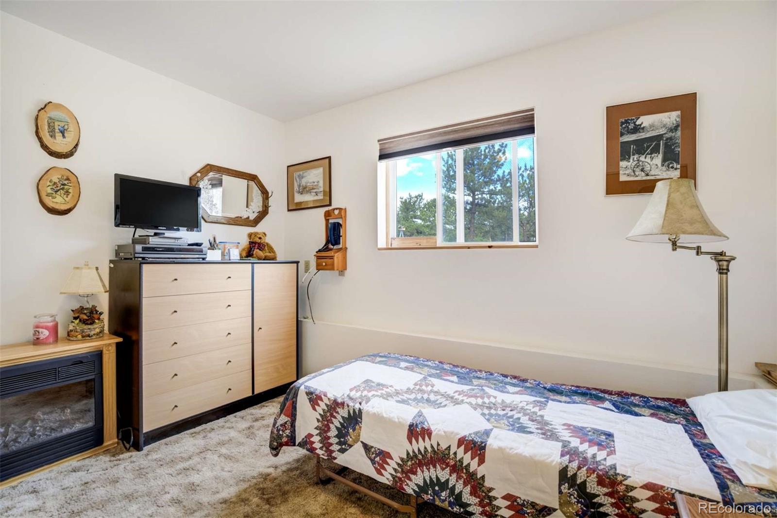 2134 Homestake Place Florissant CO 80816