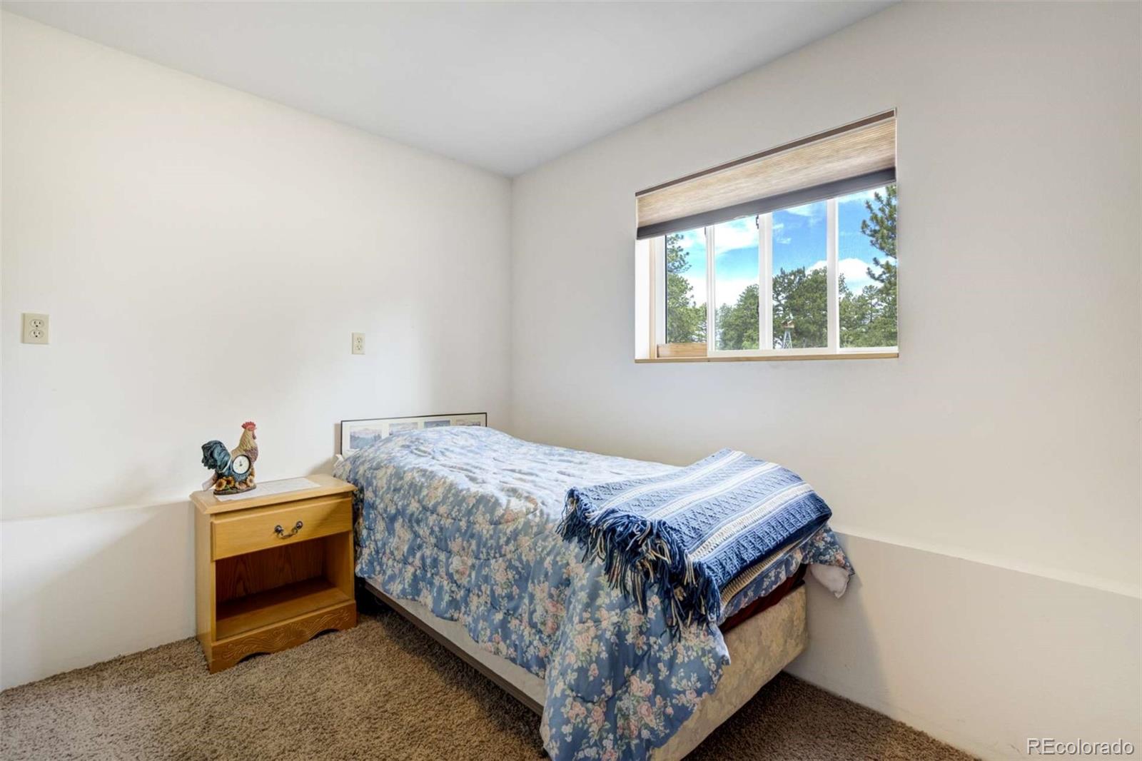 2134 Homestake Place Florissant CO 80816