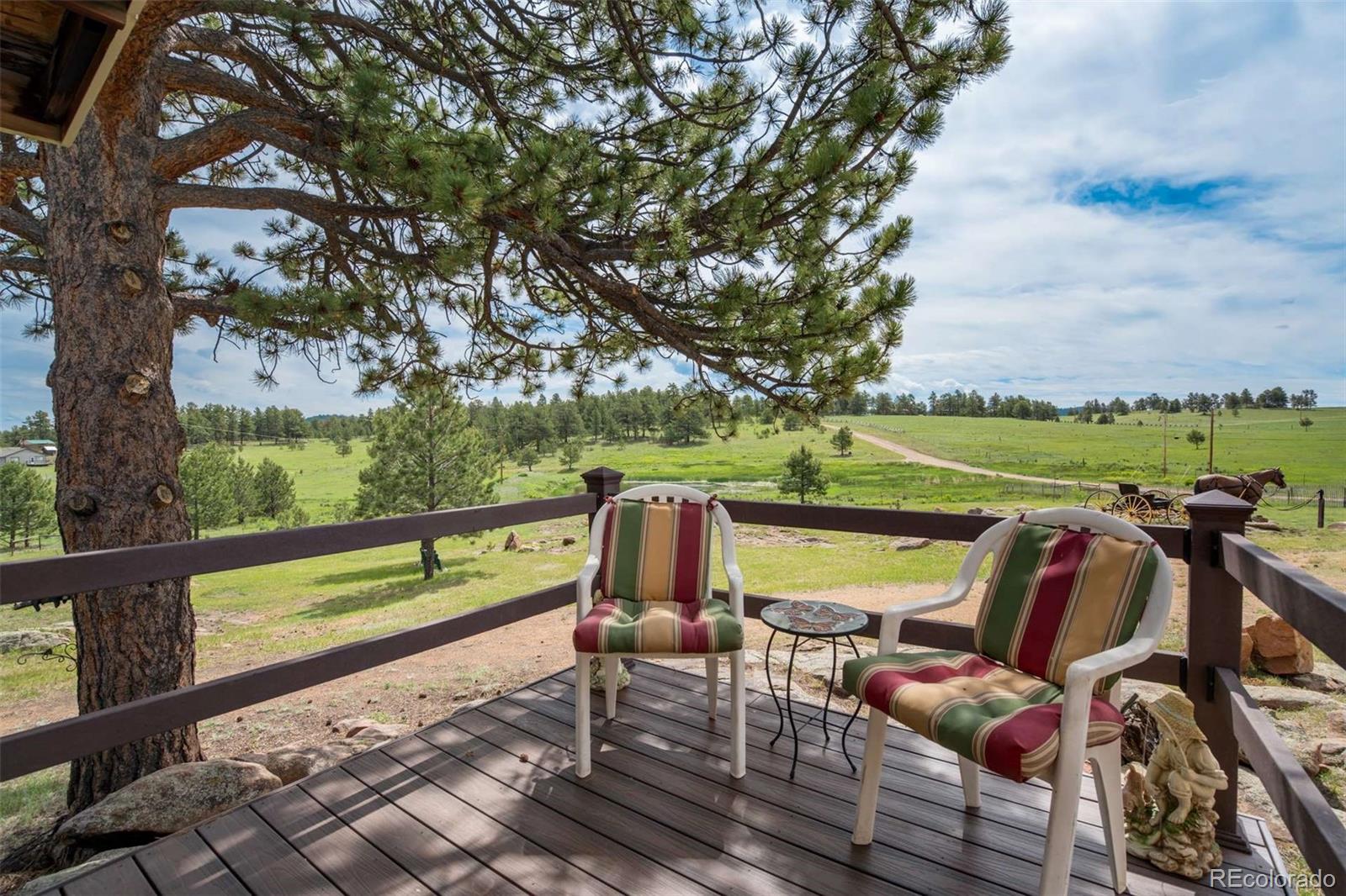 2134 Homestake Place Florissant CO 80816