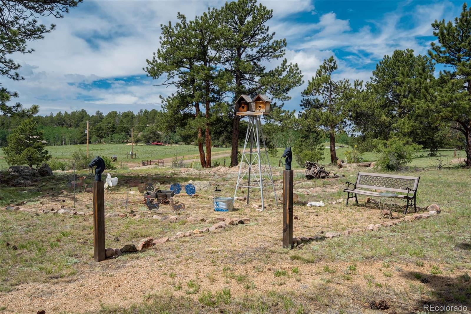 2134 Homestake Place Florissant CO 80816