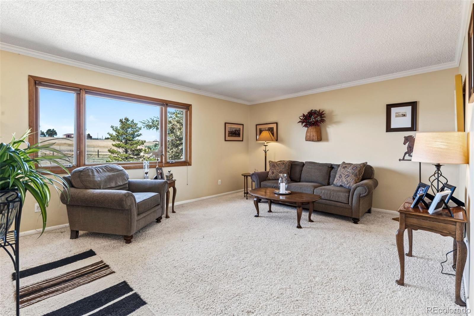 12360 Mesa View Road Larkspur CO 80118