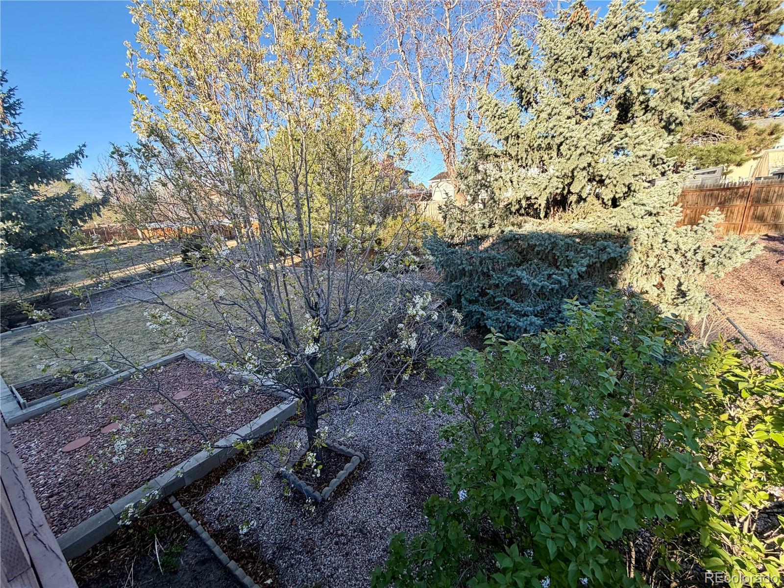 1527 Nokomis Drive Colorado Springs CO 80915