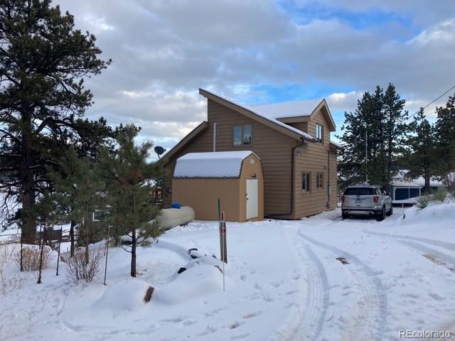28 Signalman Lane Lake George CO 80827