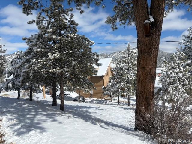 28 Signalman Lane Lake George CO 80827