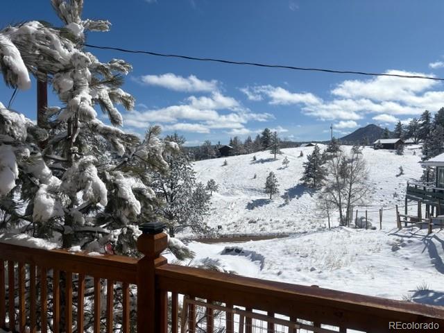 28 Signalman Lane Lake George CO 80827