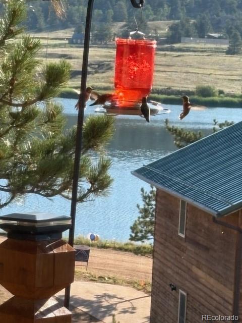 28 Signalman Lane Lake George CO 80827