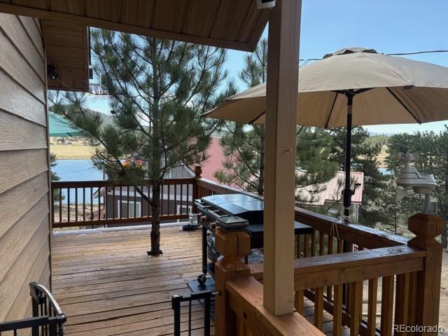 28 Signalman Lane Lake George CO 80827