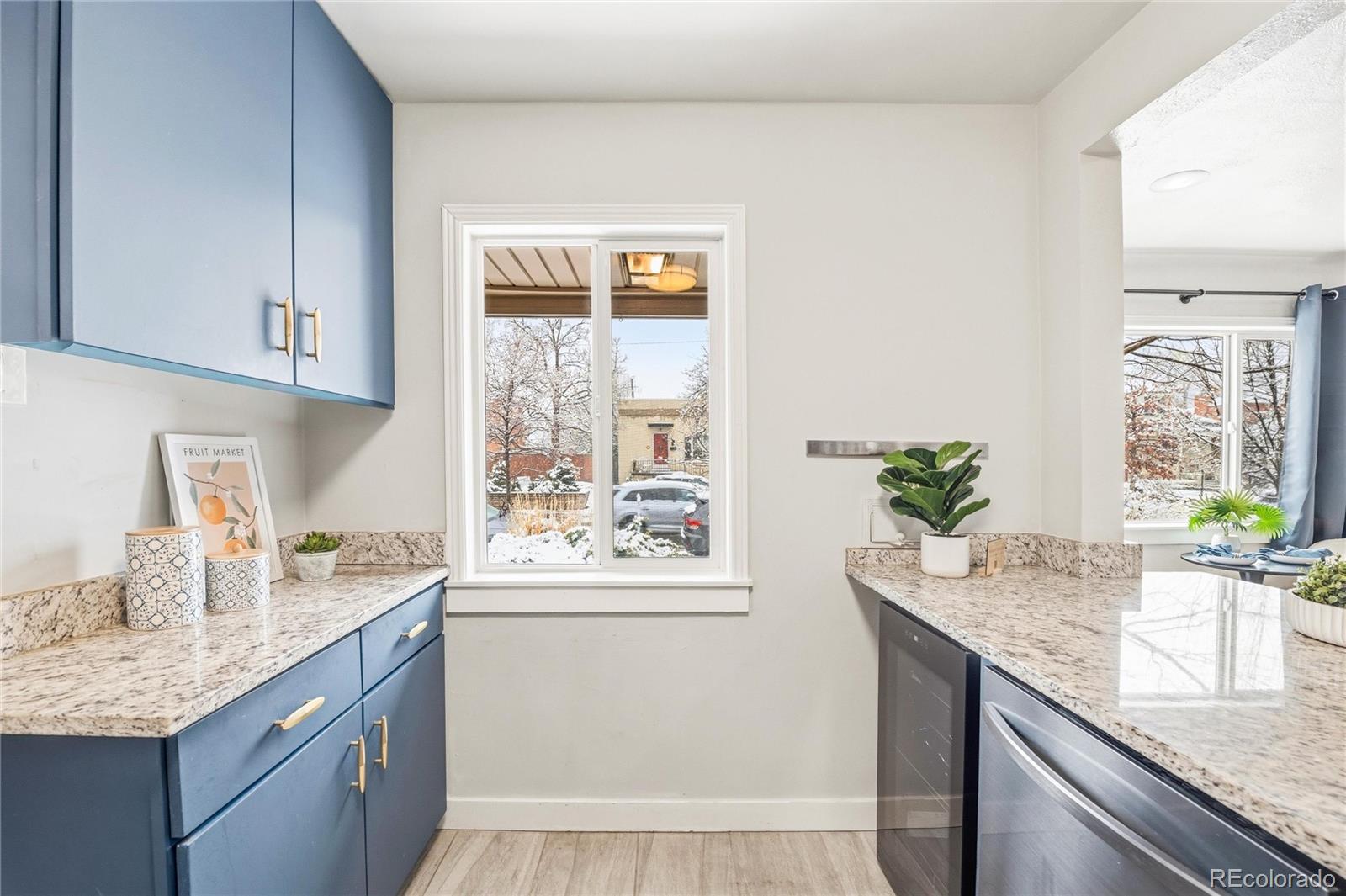 438 N Downing Street Denver CO 80218