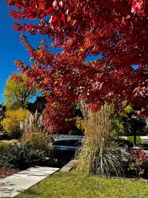 438 N Downing Street Denver CO 80218