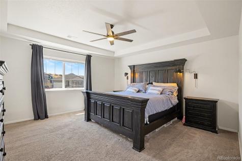 4579 Gray Wolf Lane Castle Rock CO 80104