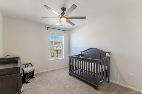 4579 Gray Wolf Lane Castle Rock CO 80104