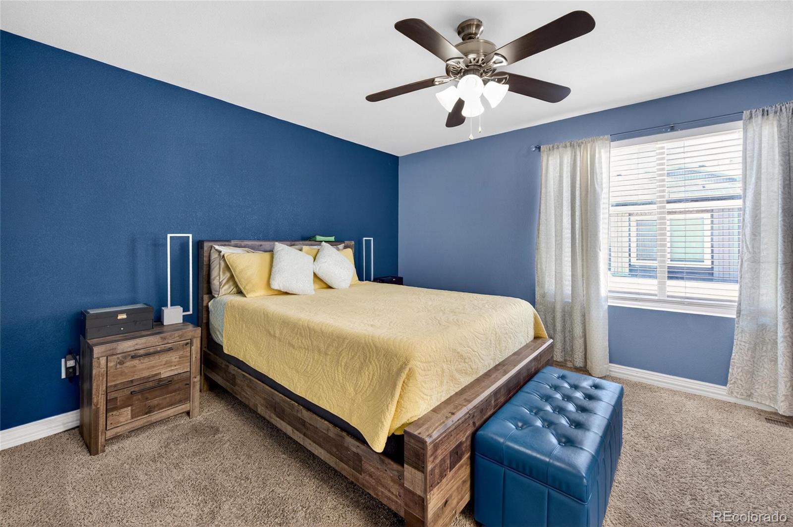 18619 E 50th Place Denver CO 80249