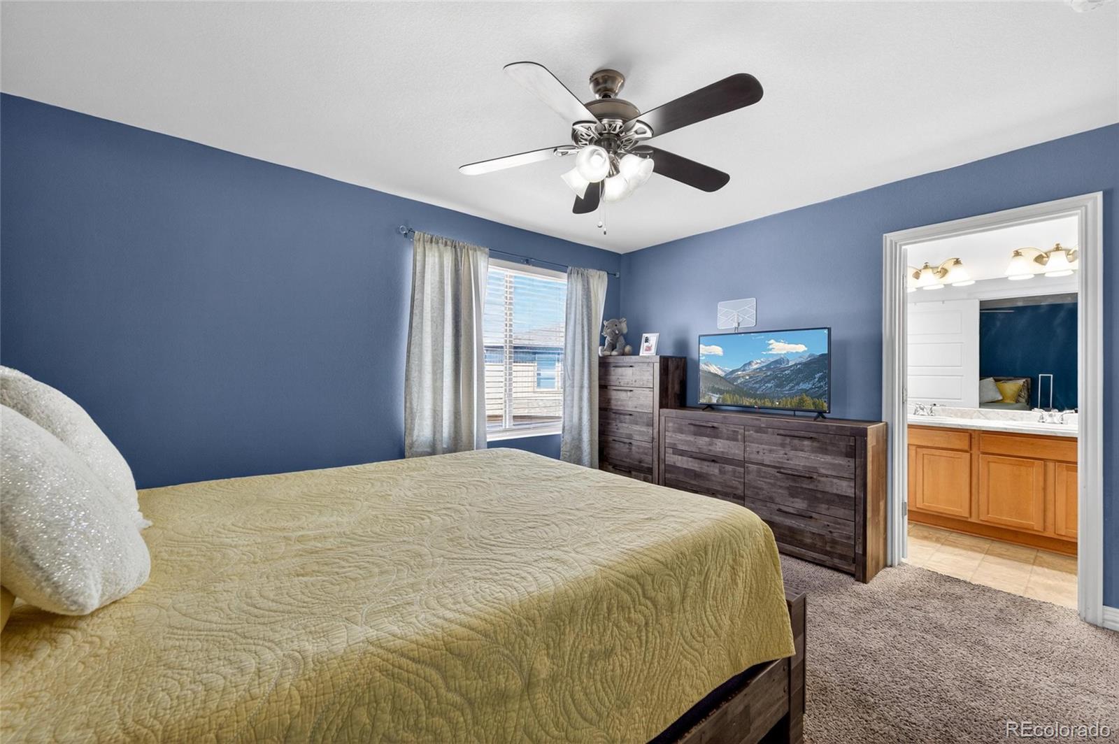 18619 E 50th Place Denver CO 80249