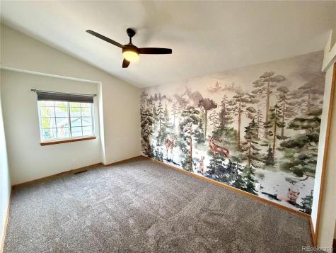 1529 Chutney Court Colorado Springs CO 80907