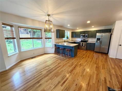 1529 Chutney Court Colorado Springs CO 80907
