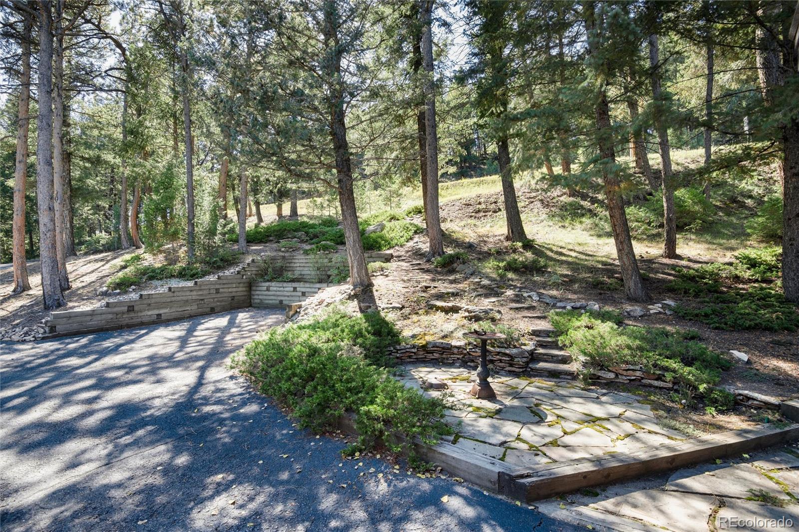 32963 Deep Forest Road Evergreen CO 80439