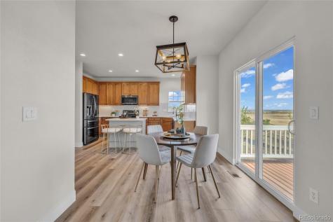 858 Dutton Court Castle Rock CO 80104