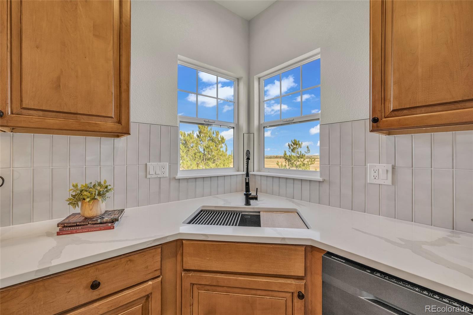858 Dutton Court Castle Rock CO 80104