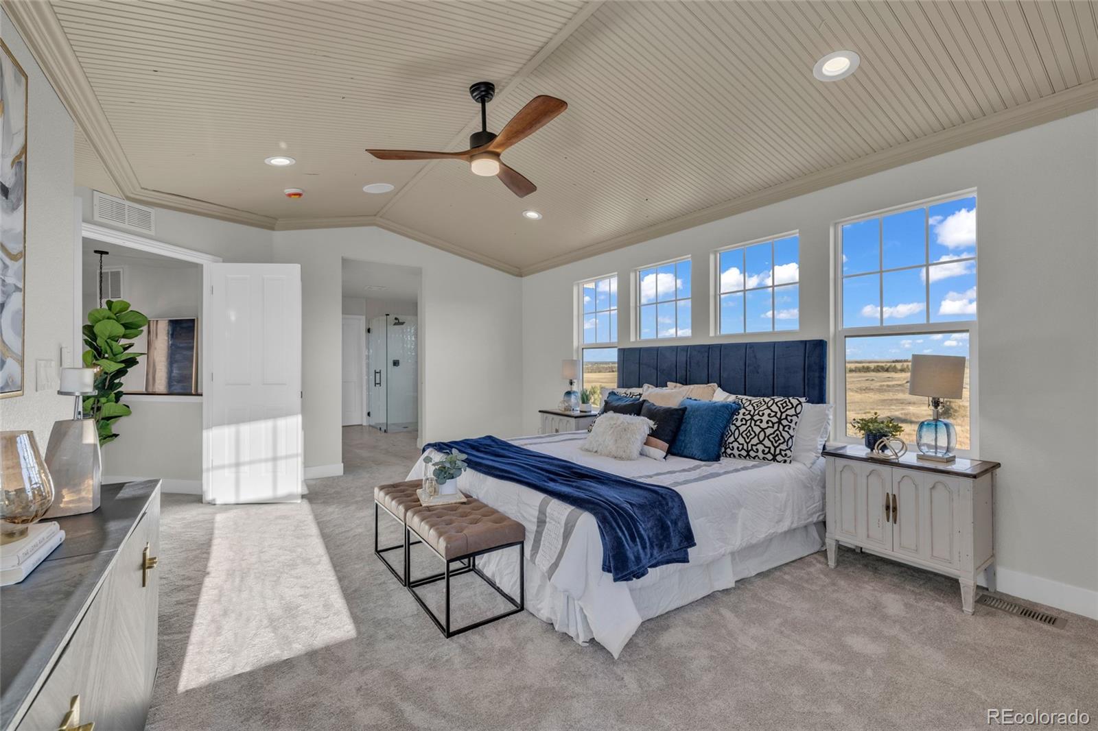 858 Dutton Court Castle Rock CO 80104