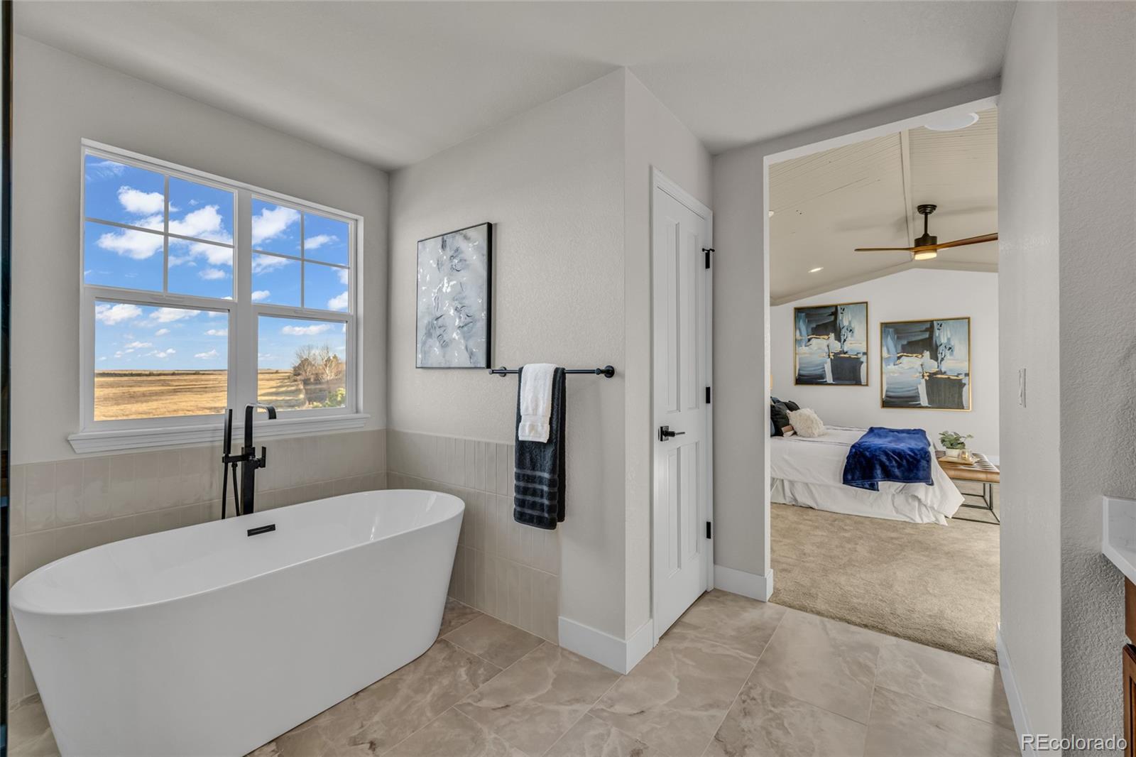 858 Dutton Court Castle Rock CO 80104