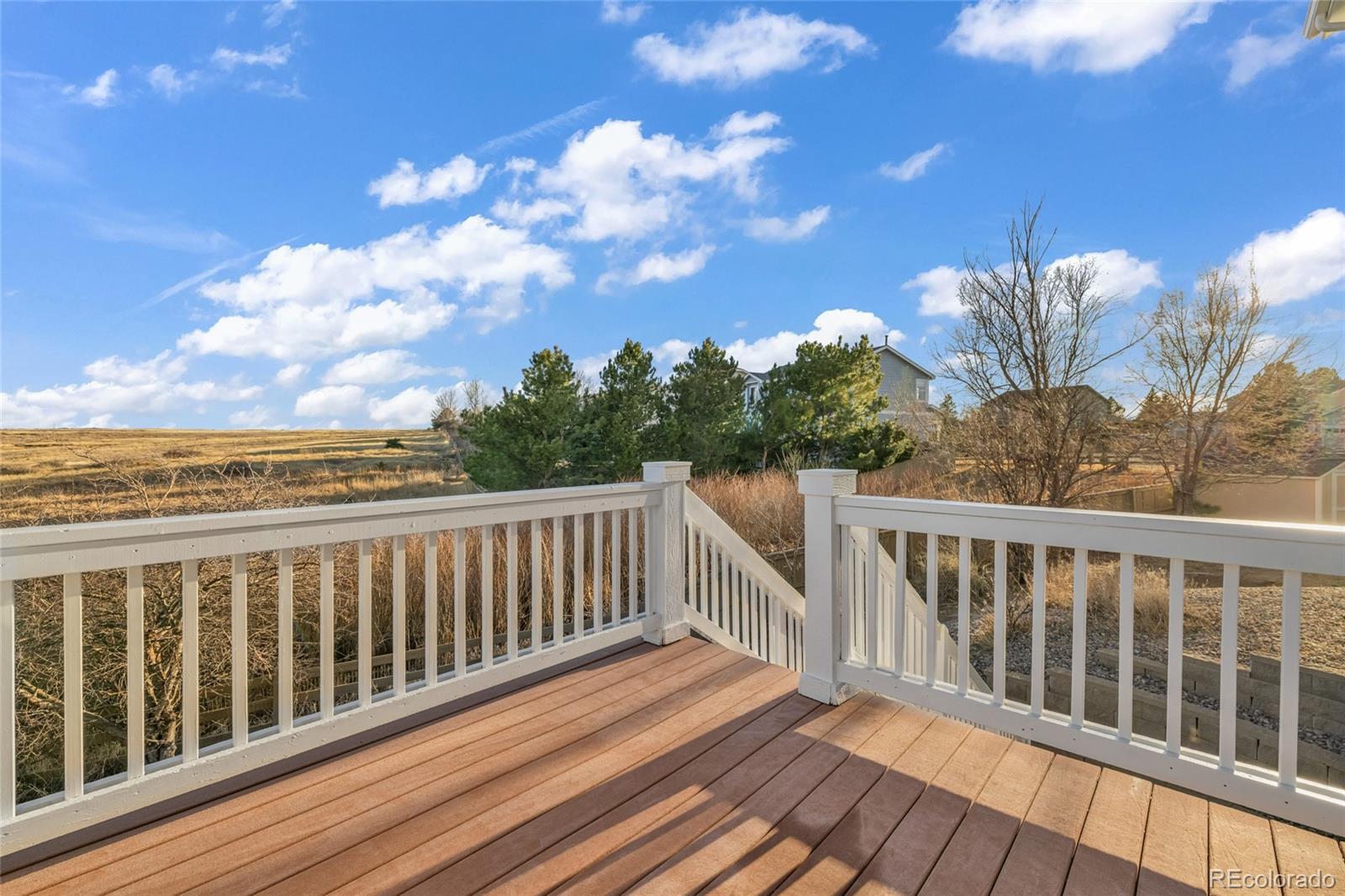 858 Dutton Court Castle Rock CO 80104