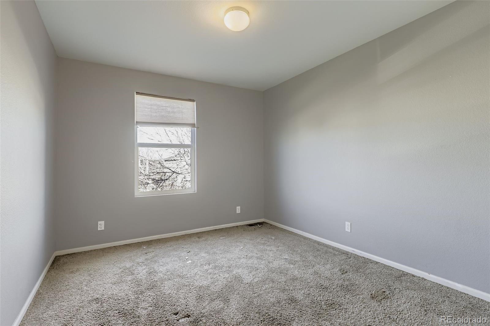5528 Lewiston Court Denver CO 80239