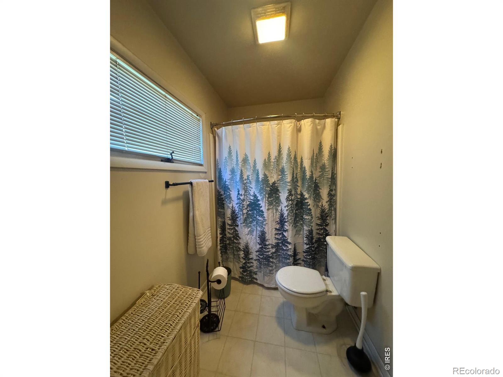 652 Washington Street Walden CO 80480