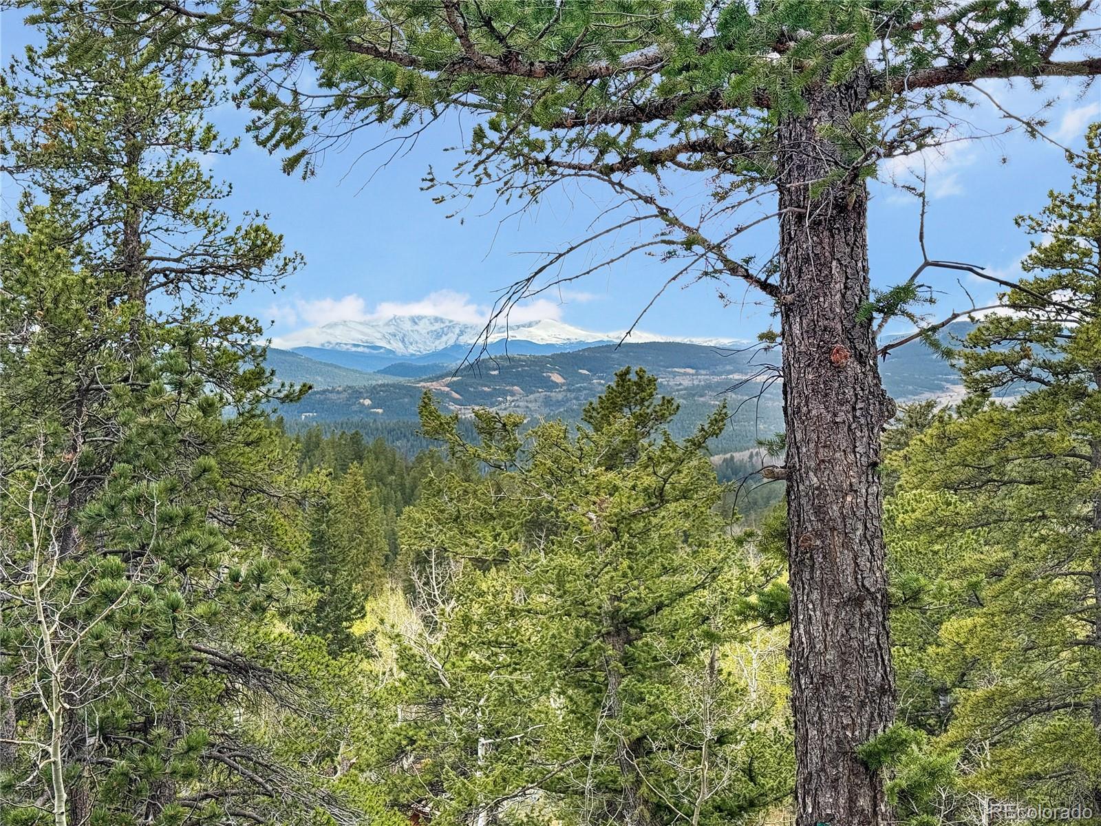 350 Foxtail Drive Black Hawk CO 80422