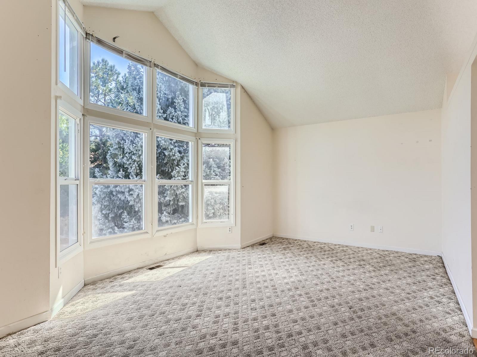 3809 S Ventura Street Aurora CO 80013